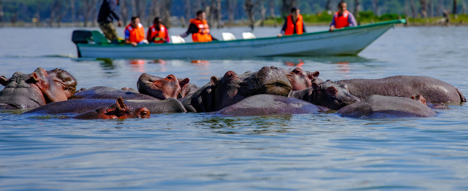Lake Naivasha  
