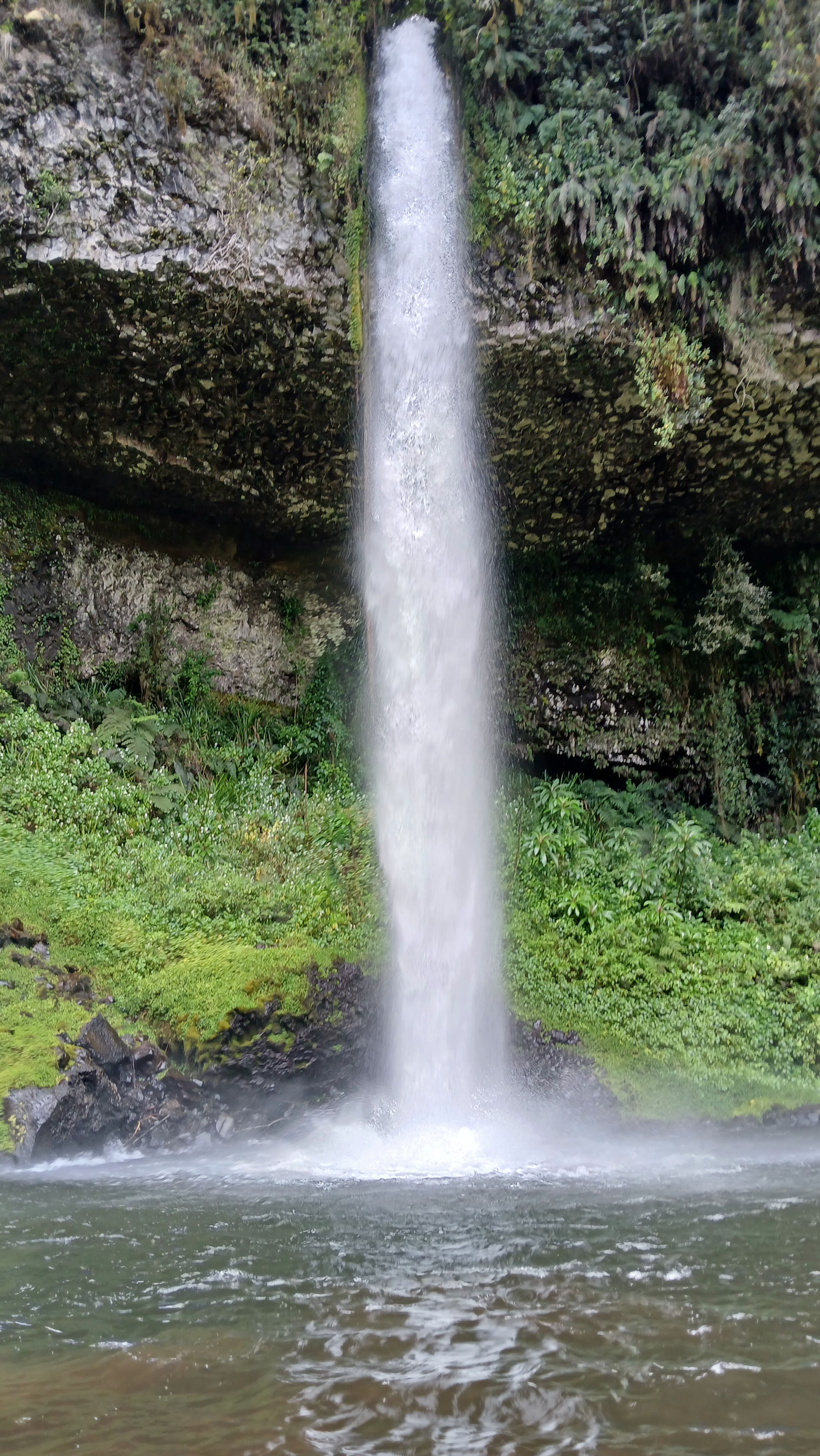 Mount Kenya Castle Lounge Hike