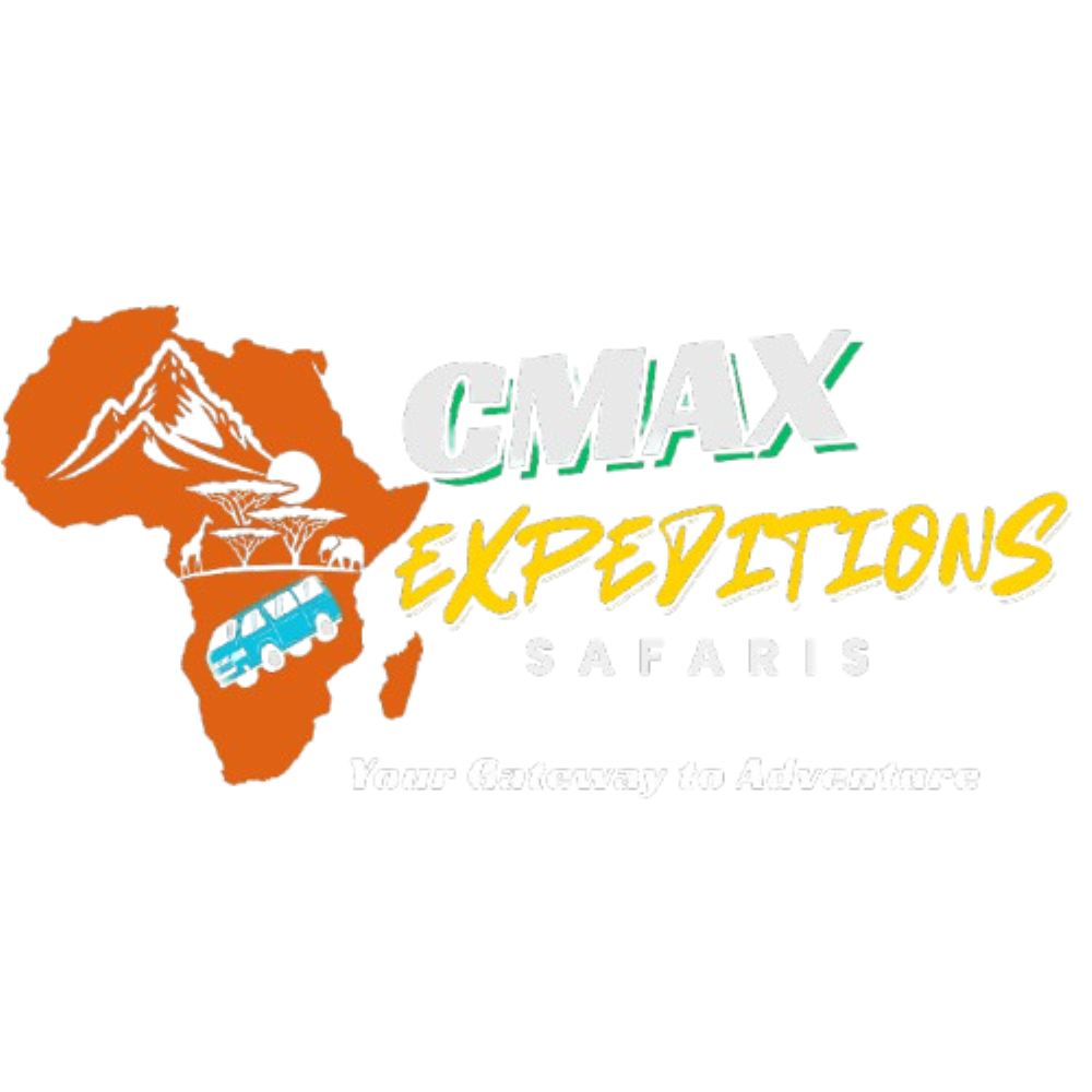 CMAX Logo